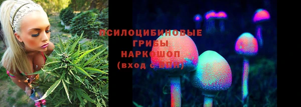 дурь Волосово