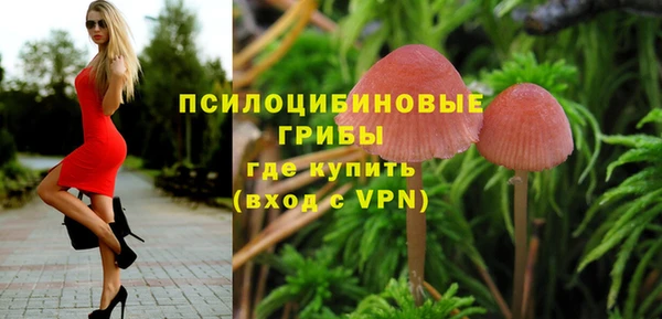 spice Волоколамск