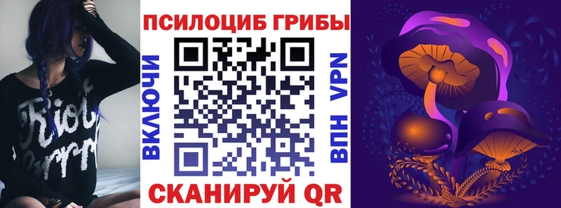 Псилоцибиновые грибы прущие грибы наркота мориарти Telegram Щёлково